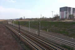 20190404_131544b_proc